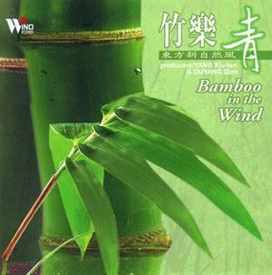 Chinese New Age and Meditation Music